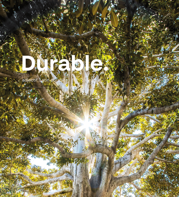 ABGi France - Durable : arbre sous le soleil