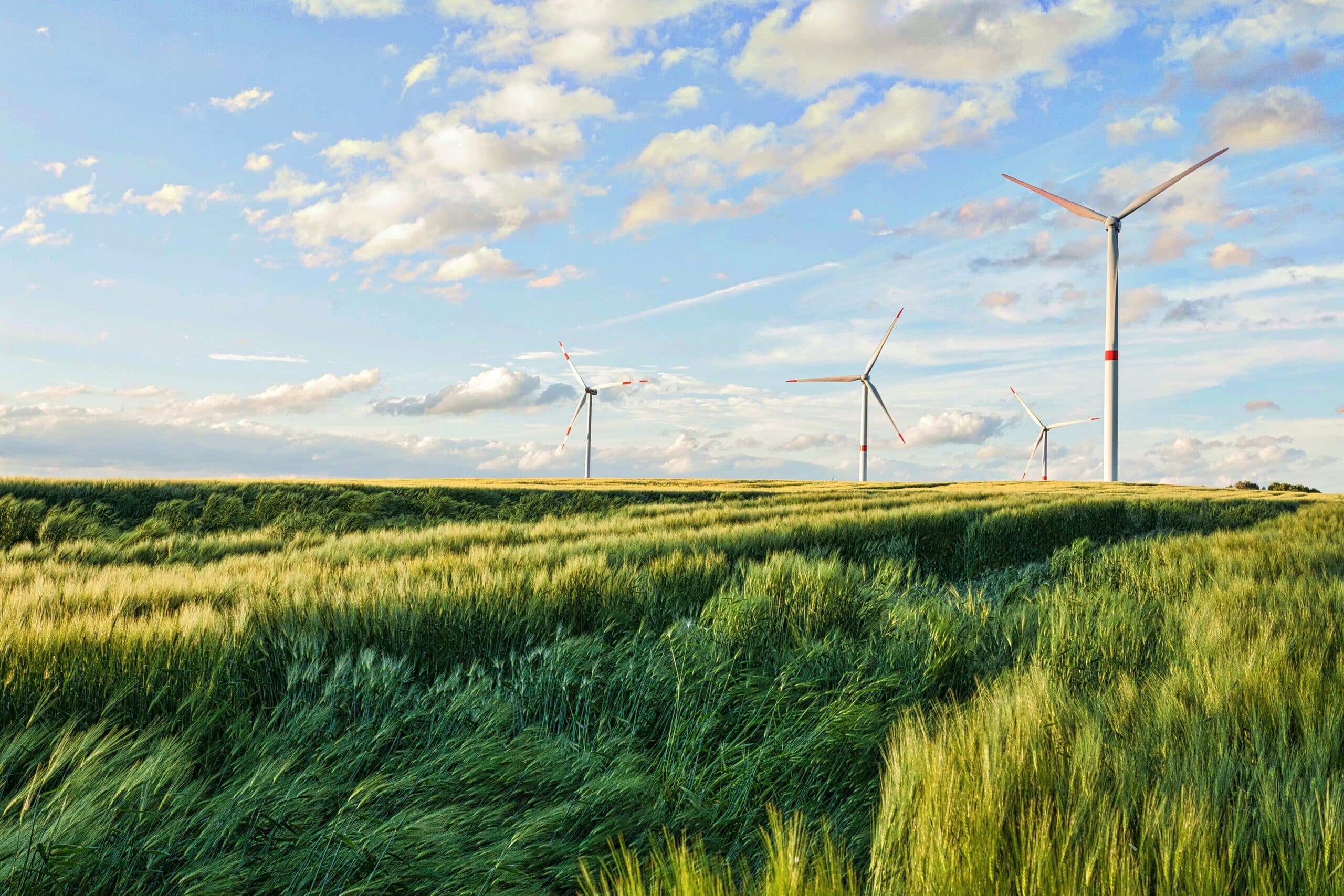 éoliennes dans un champ