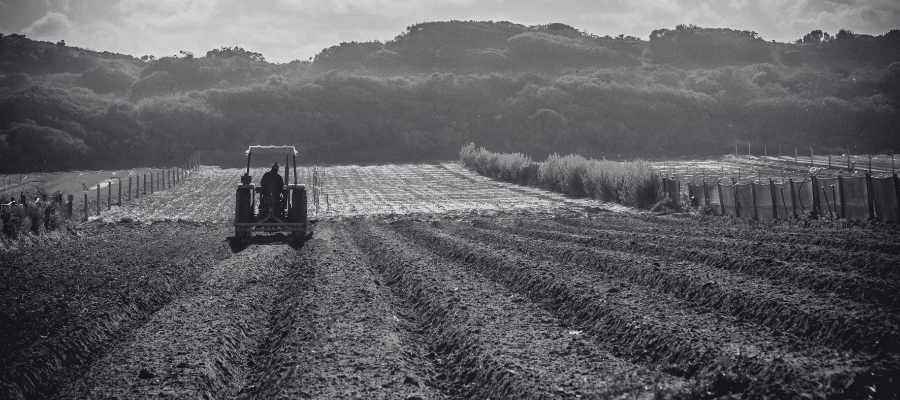 Agri-food sector ABGi Consulting