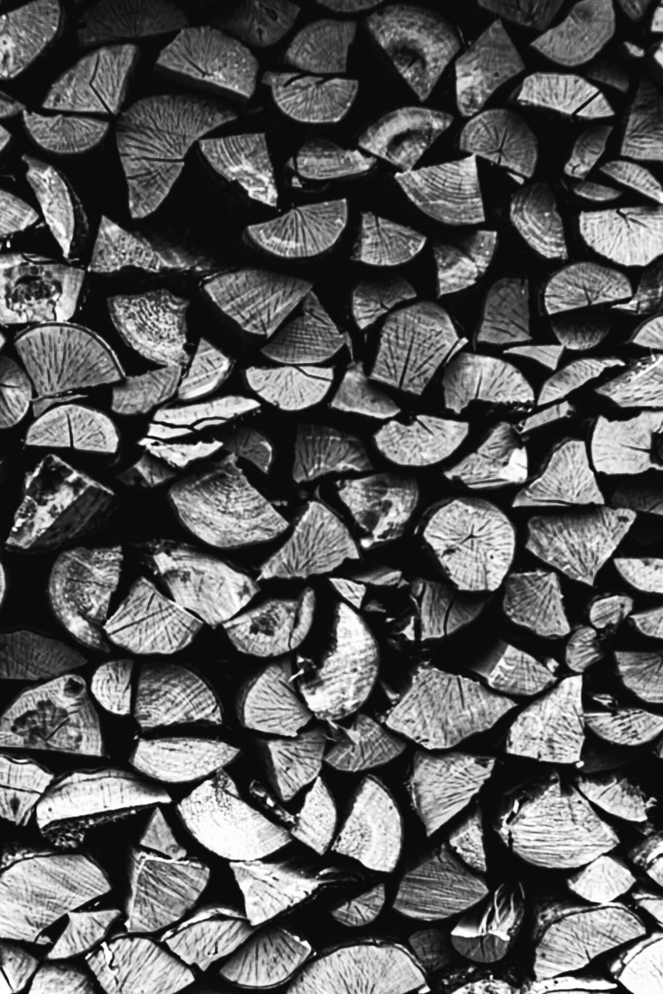 Wood, paper, biomass | ABGi